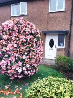 Cosy retreat in Hambleton - Ferienwohnung Hambleton