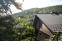 Chalet Hüttenzauber - B&B Zella-Mehlis