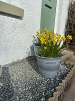 Newly Renovated Cottage - Near Balmedie Beach - B&B Balmedie