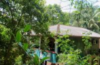 The Forest villa - Bed and Breakfast Rambukkana