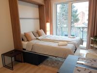 Apartmán v blízkosti centra Brna - Chambres d'hôtes Komorov