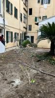 Spina Street Station - B&B Pisa
