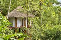 Finca Terra Incognita - Wood cabins in the jungle - Sea view - Chambres d'hôtes Puerto Jiménez