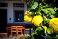 Il maestro - B&B Fiumicino