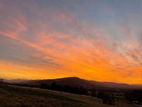 NEW Luxury Cabin with Scenic Views & Farm Charm - B&B Huonville