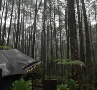 Lembah Pinus Cikole - Ferienwohnung Tangkubanperahu