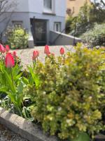 Au chemin des vignes - B&B Bergheim