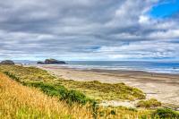 Inviting dog-friendly studio with unobstructed ocean views - B&B Bandon