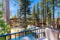 Lovely tree-view condo with deck grill & fireplace - near Tahoe City & lake - B&B Tahoe City
