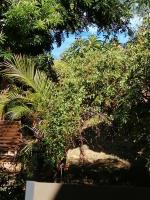 Bungalow paisible - B&B Saint-Leu