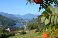 Nest Family, Bedollo Ospitar - Bed and Breakfast Bedollo
