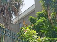 thalore room e apartments - Bed and Breakfast Amantea