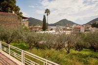 Cosy country house with treehouse in olive grove - B&B Tolón