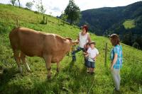 Farm Stay Gradišnik Peaceful Countryside with Homemade Breakfast - Chambres d'hôtes Prevalje