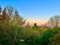 Mount St. Raphael's - B&B Leura