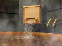 [B] 2 Queen + 3 Single + Sofa / hot spring bath and sauna (No pets allowed)