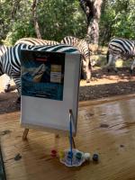 Shongololo Bush Villa - Bed and Breakfast Marloth Park