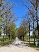 Azienda Agrituristica IL VALLONE - Bed and Breakfast Alseno