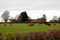 SPLASH LEYS a peaceful getaway in beautiful surroundings - Chambres d'hôtes Admington