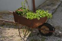trullo amico - B&B Ceglie Messapica