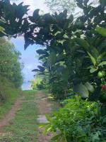 The Voyager Océan View - B&B Port Mathurin