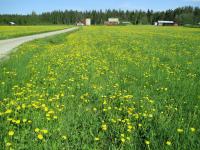 Pohja - B&B Joensuu
