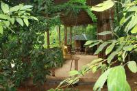 Ayurveda Spice Forest Retreat