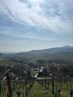 La maison Hansel & Gretel - Vignoble d'Alsace - B&B Bernardvillé