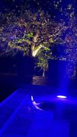 Top privacy Eco Villa Villa 2026 TEG hill,best in Tirana with no neighbours - Chambres d'hôtes Tirana