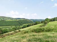 1 Bed in Machynlleth oc-85207 - B&B Darowen