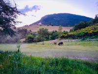 Gîte de la Motte - B&B L'Escoulin