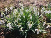 Pauna Puhkemajad - B&B Tori