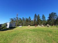 Mountain view Bespoke tiny home - B&B Plettenberg Bay