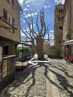 La maison de jules - centre piéton - Bed and Breakfast Moustiers-Sainte-Marie