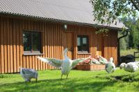Peaceful Nature Escape Among Farm Animals - Bed and Breakfast Jõeküla