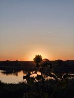 STD Kod Makse, kuca na jezeru Kraljevac - B&B Deliblato