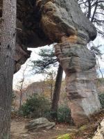 Wildwood Cabin - Pet-Friendly Retreat by Rock Wall with Hot Tub - Chambres d'hôtes Stanton