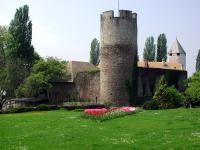 Apartamento con vistas al jardín