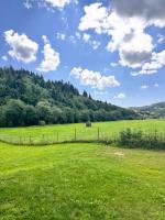 Apartamenty Lisovychok - B&B Richka