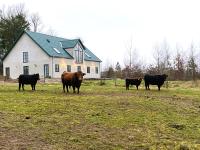 Landstedet - Bed and Breakfast Assendløse