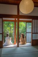 Lucia Seaside Villa Amami - B&B Amami