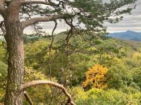 Domeček pod Holým vrchem - B&B Hlinná