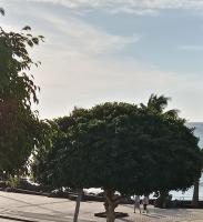 Apartamento Oasis - B&B Puerto del Carmen