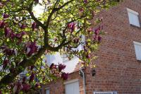 Emanapartmanok Sárvár - Ferienwohnung Sarvar