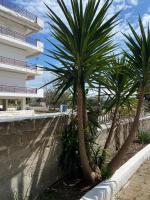 Seaside Happy Place-apartment in Palio Kavala - B&B Palaió Tsiflíki
