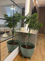 Premium Home - B&B Skopje