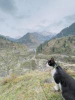 Eenpersoonskamer met Uitzicht op de Bergen