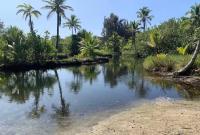 Ocean View 1BR • Balcony • Near Beaches & Downtown - Chambres d'hôtes Baie de Hilo