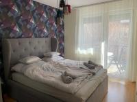 Free bicycles and garage in the center - B&B Seghedino