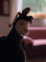 Chambre Double ou Lits Jumeaux - Vue sur Jardin